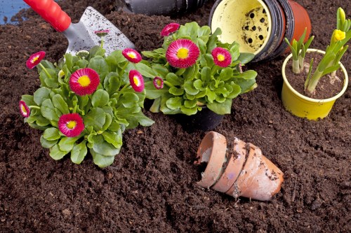 Landscape gardening in Grange Park with structured planting and patio design