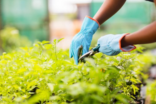 A completed complaint log for garden maintenance services