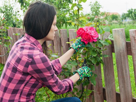 Careful on-site gardening work under agreed terms