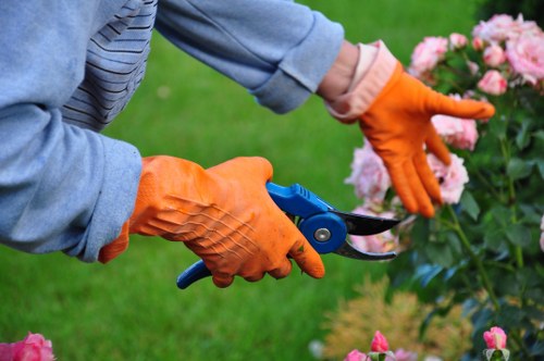 Team applying health and safety precautions during garden care