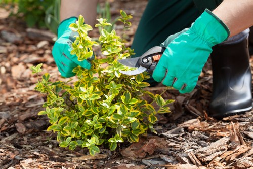 Garden maintenance work in Grange Park including hedge trimming and weeding