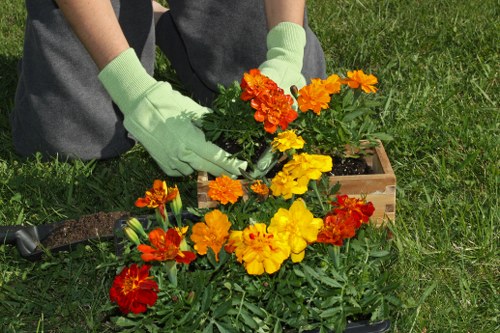 Autumn garden maintenance in Grange Park with leaf clearance and pruning