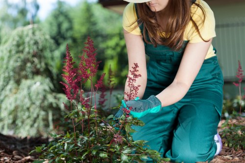 Removing green waste during garden clearance in Grange Park