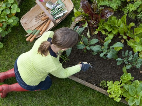 Accessibility request and inclusive support for local gardening content