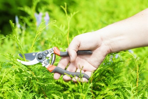 Seasonal pruning and plant care for gardens in Grange Park