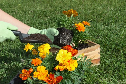 Grange Park gardeners working on lawn and hedge care