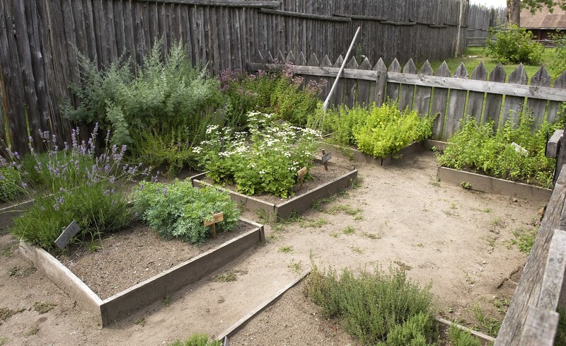 landscape design Garden