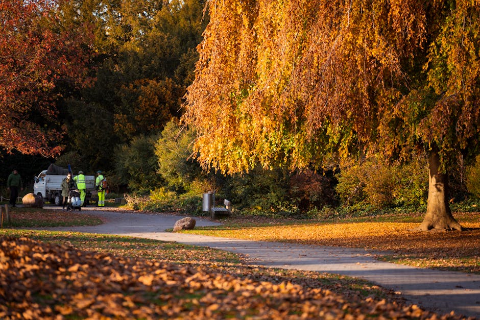 A gardener from Gardeners Grange Park wearing a high-visibility orange shirt, dark trousers, and a cap, is mowing a lush green lawn using a petrol-powered lawn mower. The grass appears freshly cut, wi